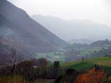 PIEMONT PYRENEEN